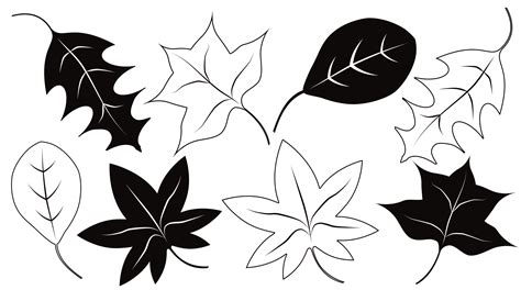 leaves clip art|leaves clip art black and white.